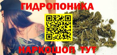 шишки Моздок