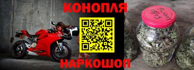прущие грибы Можайск