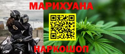 прущие грибы Можайск