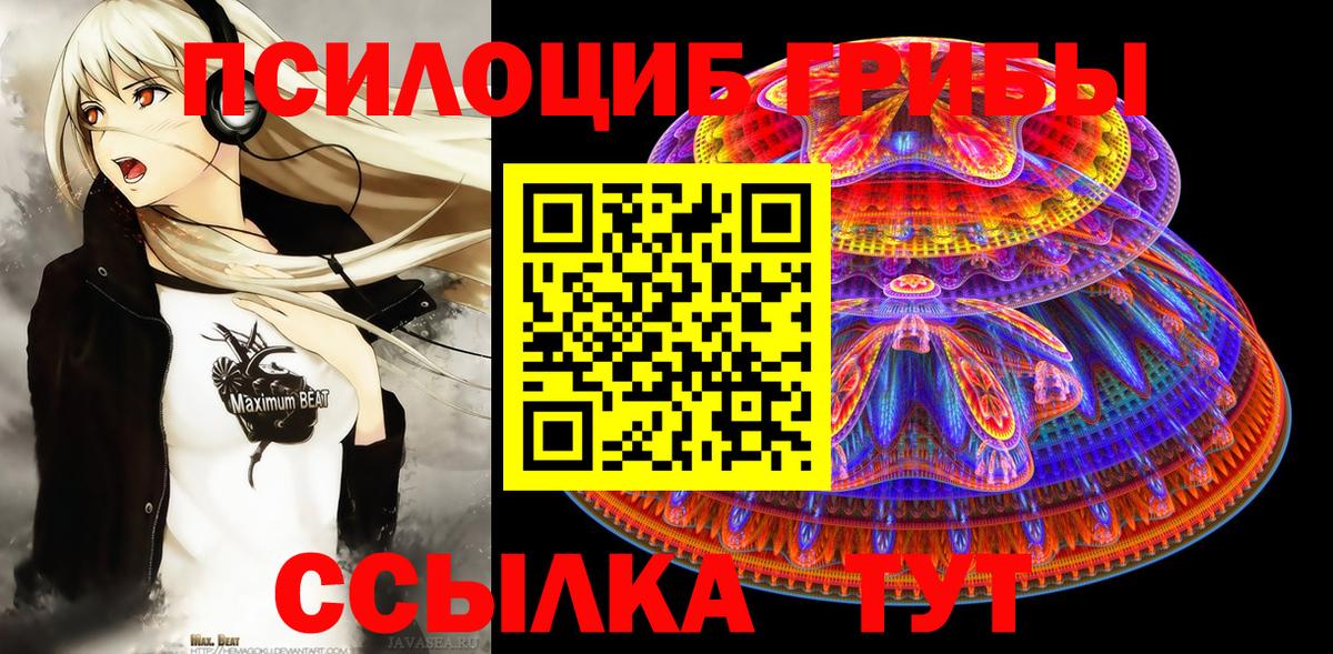Псилоцибиновые грибы Psilocybe Урай